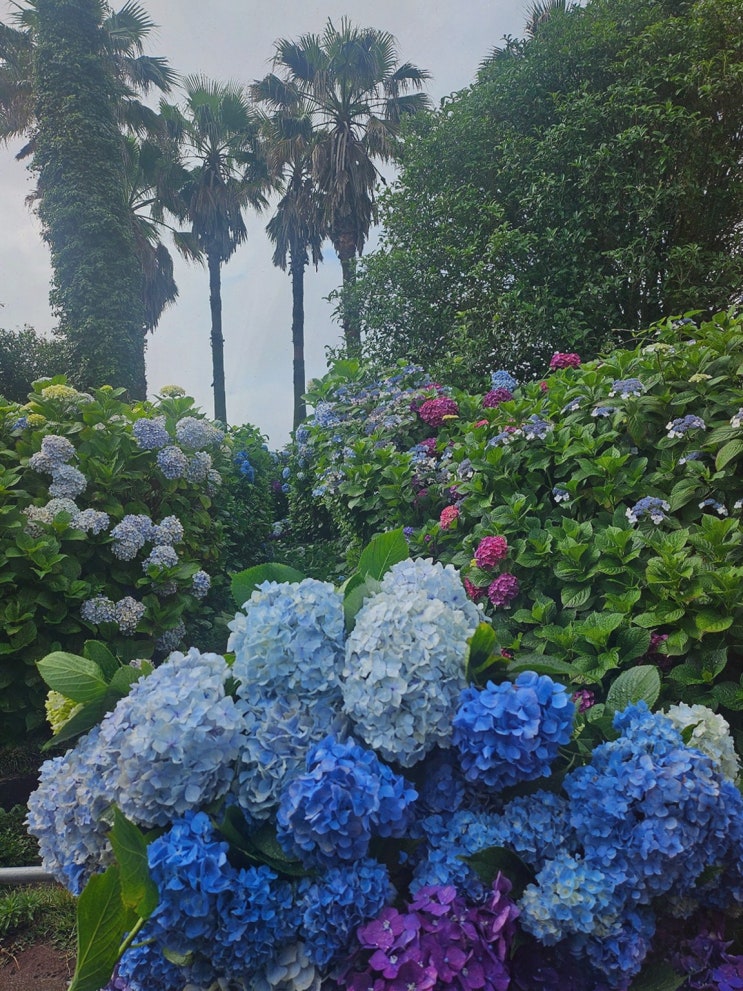  [파더스가든] 제주 가족여행의 완벽한 힐링 공간