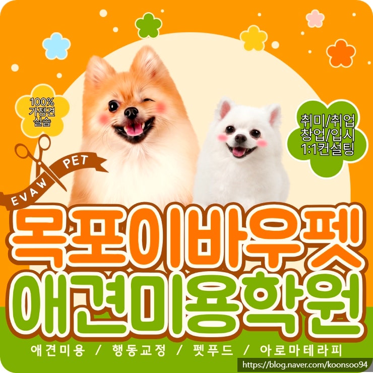  목포애견미용 학원, 취업과 창업까지 이바우펫 추천