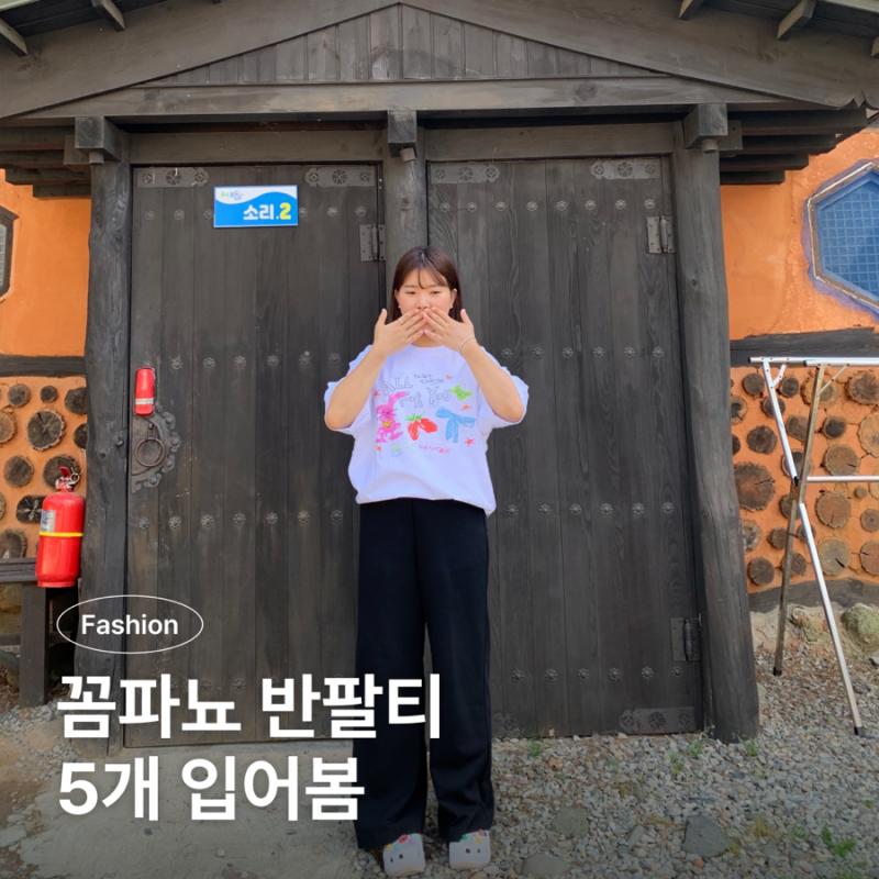 꼼파뇨 반팔 티셔츠 5개 입어봄