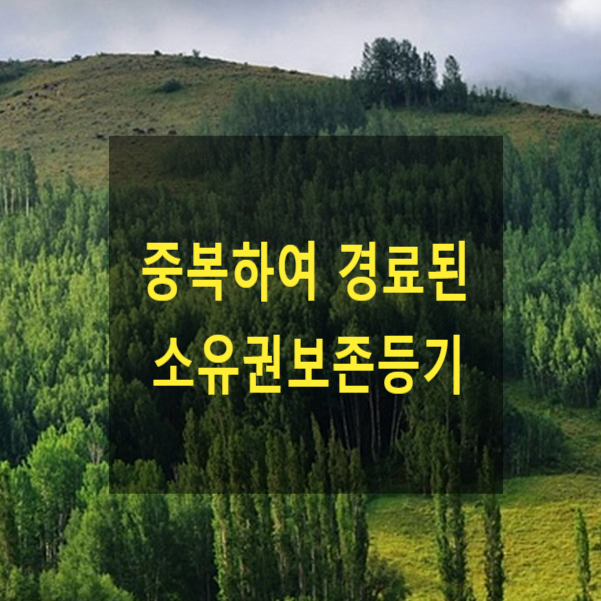 중복하여 경료된 소유권보존등기의 효력
