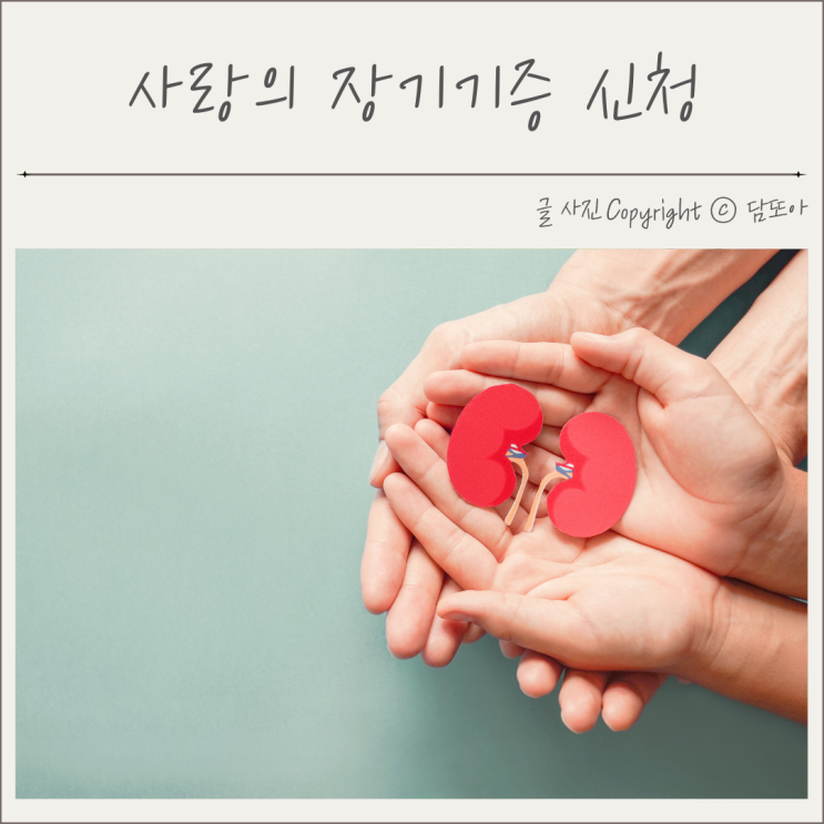  사랑의 장기기증 신청 철회 취소