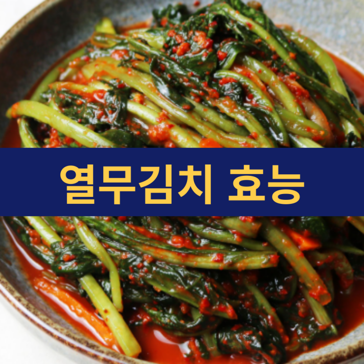  열무김치 효능 | 여름철 입맛 살리는 건강한 발효 김치 반찬
