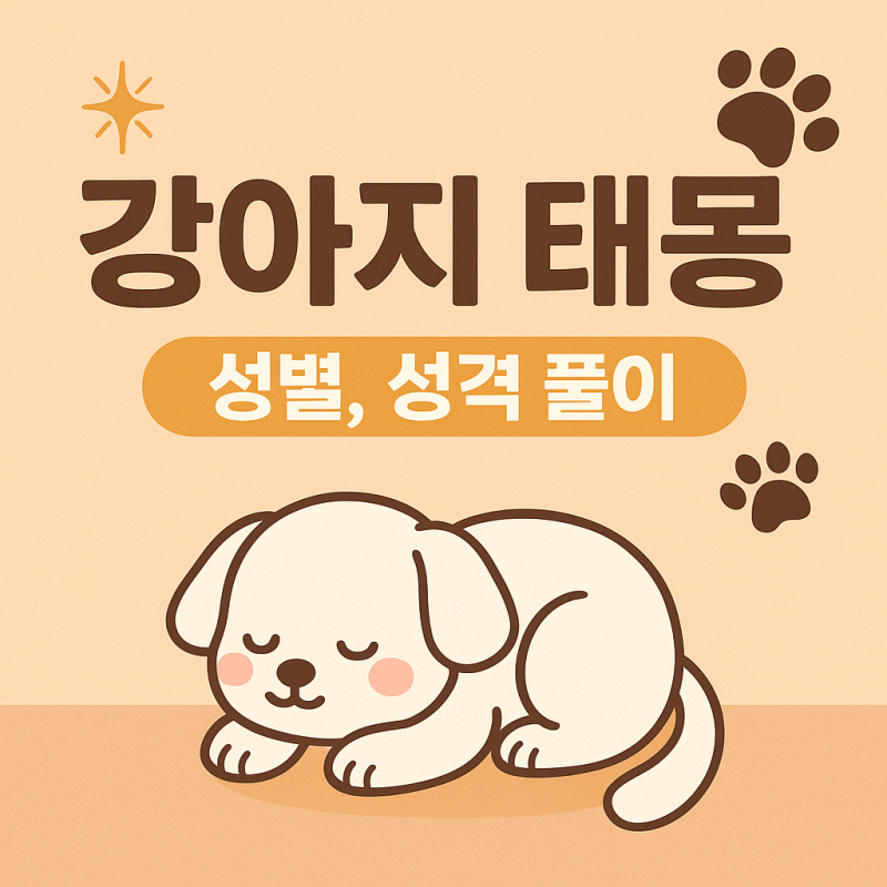 강아지 태몽 성별,하얀 강아지 꿈 뜻?