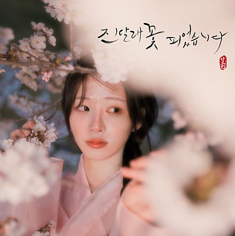  알리 진달래꽃 피었습니다 노래 음악 뮤직비디오 ALi