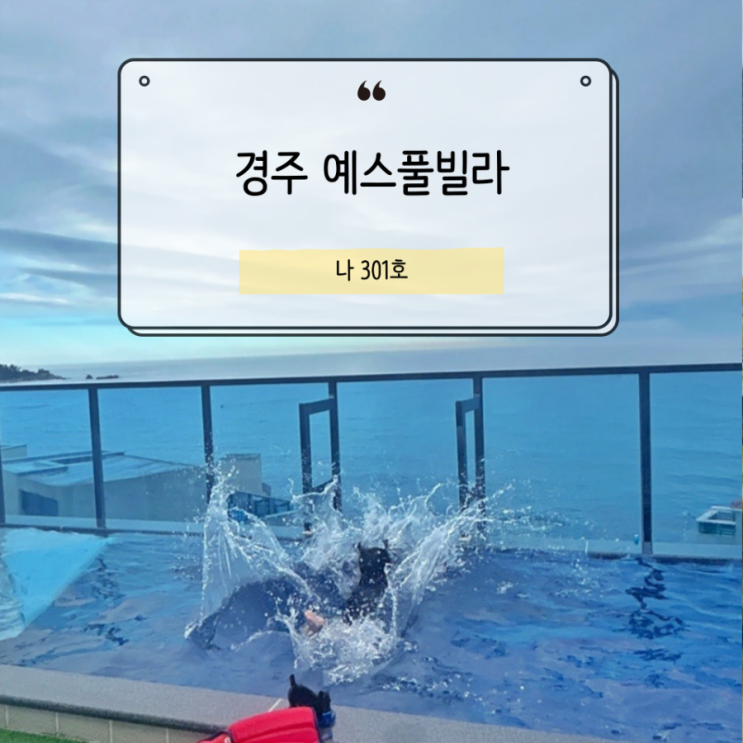  감포 바다 품은 루프탑 예스풀빌라 내돈내산 후기