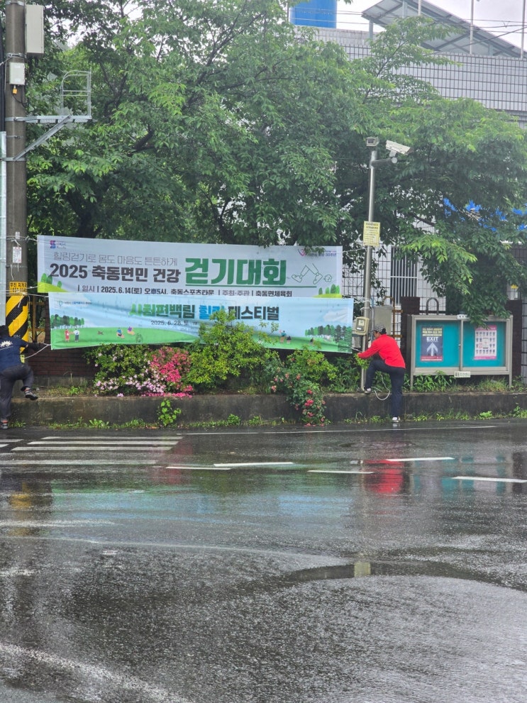  사천편백림 축제 현수막
