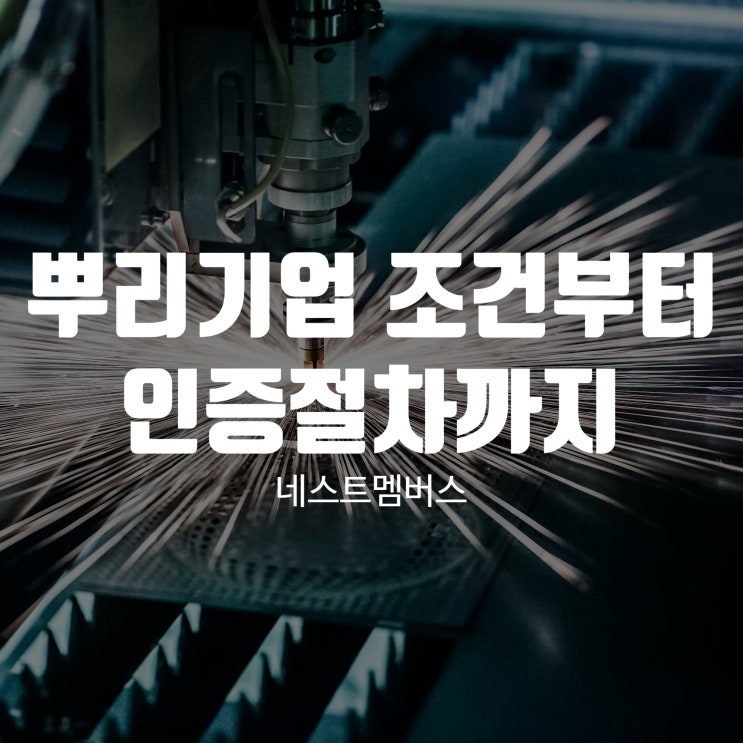  뿌리기업 조건부터 인증 절차까지 모두 알아봐요