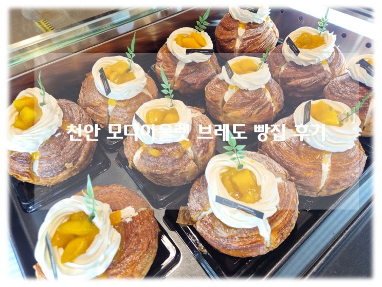 천안 베이커리 맛집 추천 모다아울렛 베이커리 브레도 내돈내먹 단골 후기!