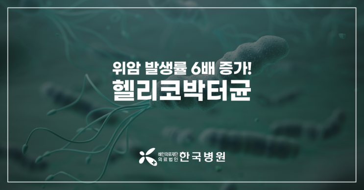  제주 소화기내과_헬리코박터균, 위암 발생률 6배 높여…이럴 때는 꼭 치료해야