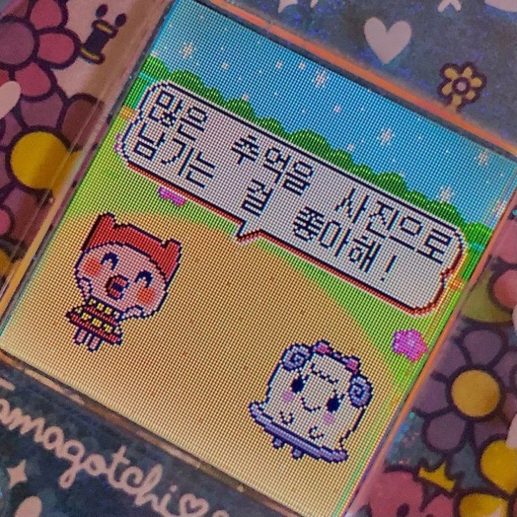  6월 먹금하고 내 블로그나 들어와
