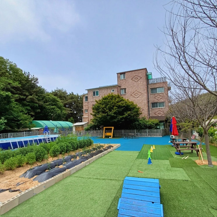  대부도 선재도 영흥도 반려견 동반 숙소 추천
