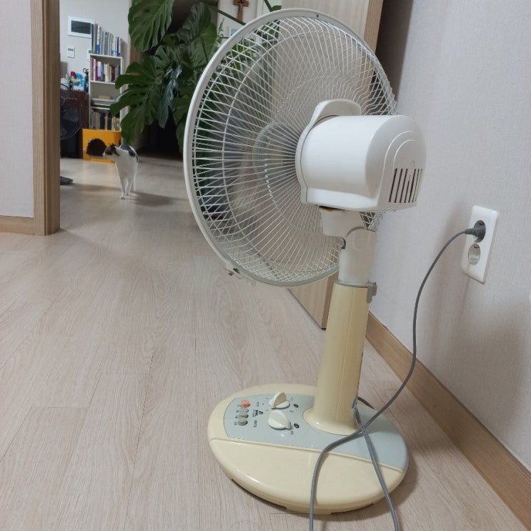  방문자수에 너무 연연해하지 말자