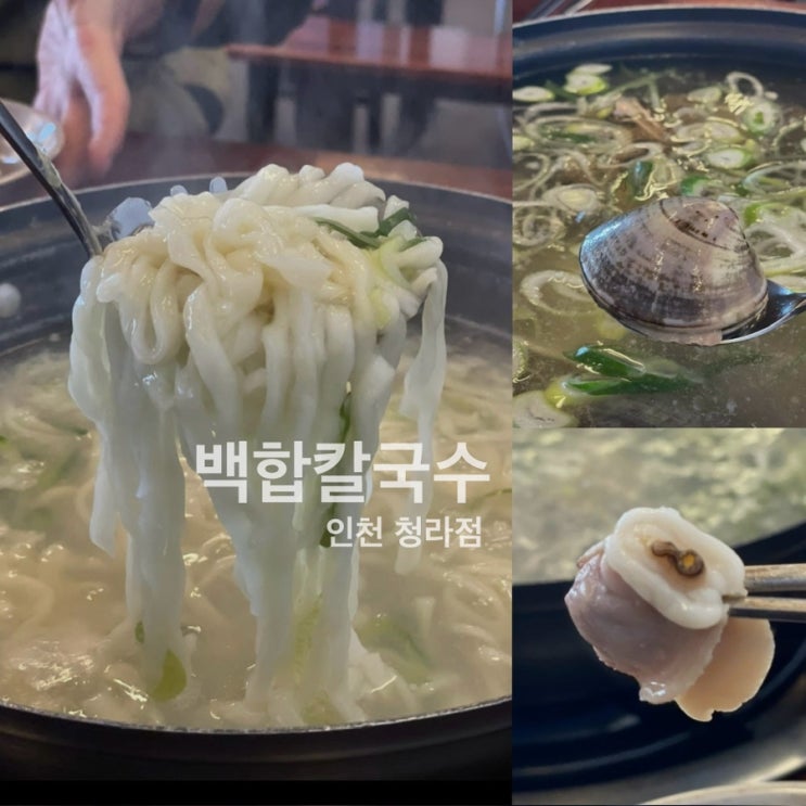  백합칼국수 청라 맛집