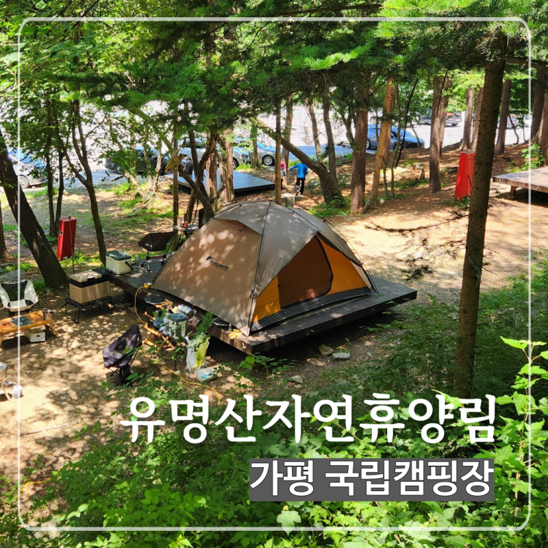 경기도 계곡 캠핑장 유명산자연휴양림 1야영장 112번