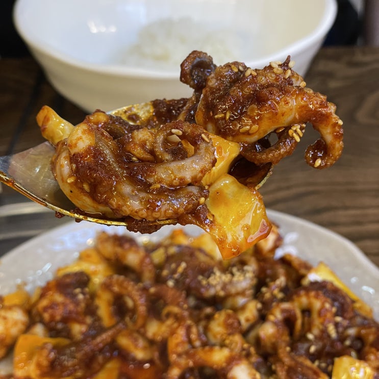  천안 성성동 쭈꾸미 볶음 맛집 6월 오픈이벤트 성성동 보꾸미 식당