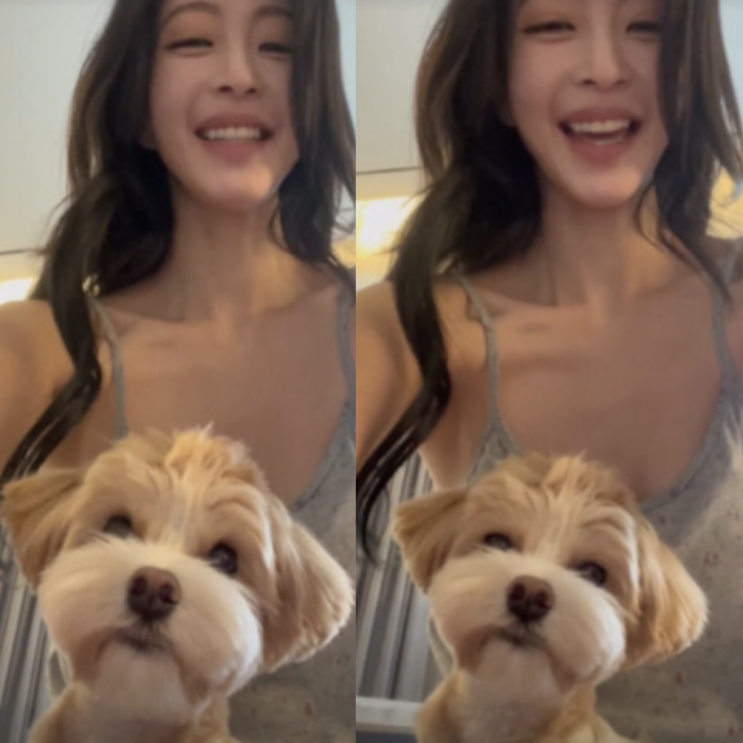 <b>한예슬</b> 결혼 1주년 여행 후 충격 강아지 <b>낙상</b> 사고 전말