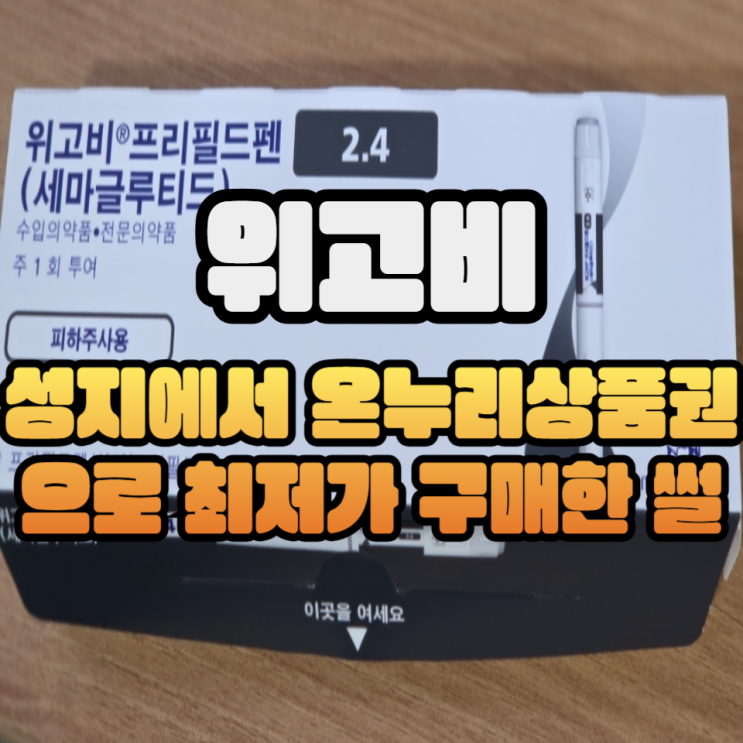  위고비 처방 성지 종로 코코이비인후과 + 새종로약국 온누리상품권 후기/가격/최저가/나눠맞기