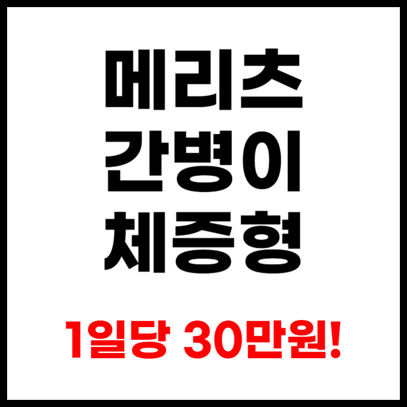 메리츠화재 간병인보험 체증형 1일 30만원보장 찐후기