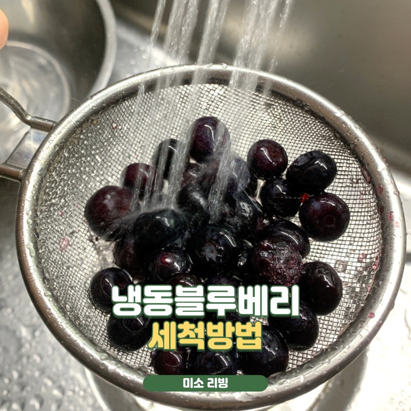 코스트코냉동블루베리 세척 씻는방법 맛있게 먹는 꿀팁