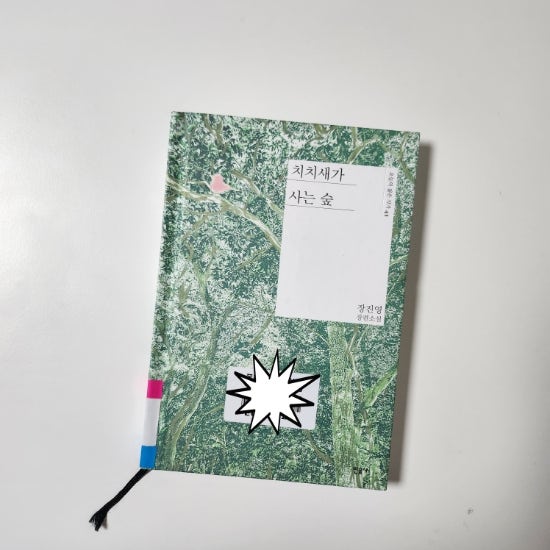 치치새가 사는 숲, 장진영, 민음사 젊은 작가 시리즈