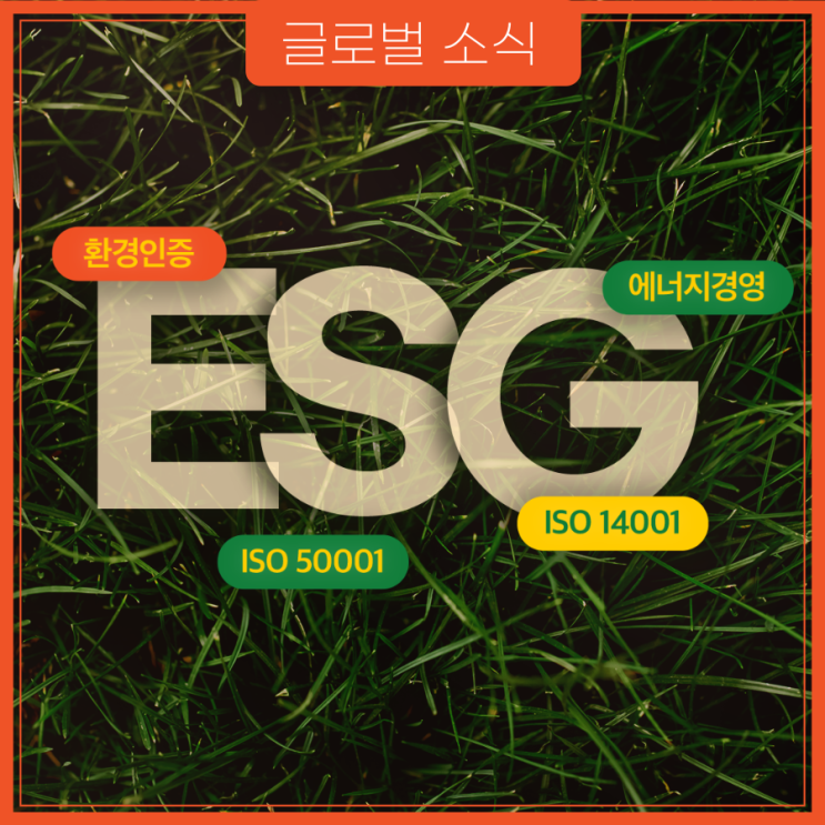 ISO 14001, ISO 50001을 통한 탄소 발자국 감축과 지속 가능성 성공 전략