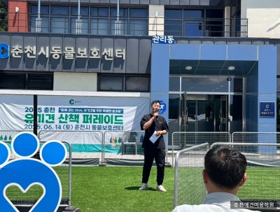사진 3