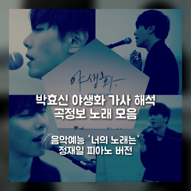 박효신 야생화 가사 해석 곡정보 노래 모음, 음악예능 너의 노래는 정재일 피아노