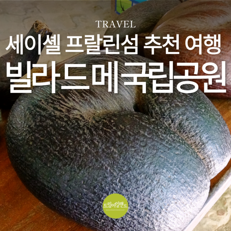 세이셸 프랄린 섬 필수 코스! 유네스코 자연유산 발레 드 메 국립공원 방문 후기