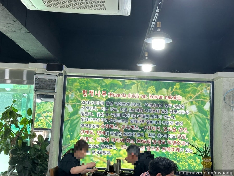 헛개랑생태랑 사진 5