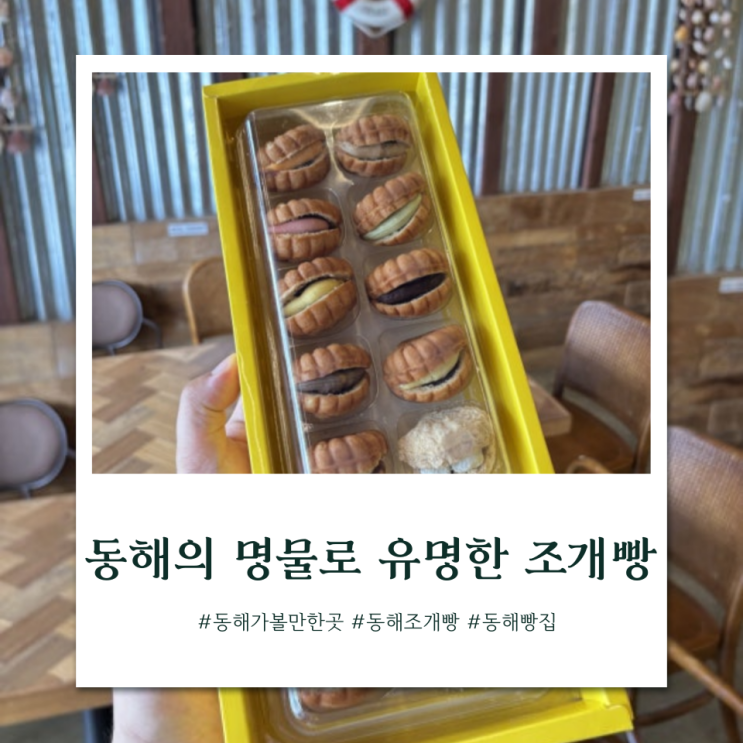  동해가면 많이들 구입하는 동해조개빵 동해본점 | 동해 빵집 기념품
