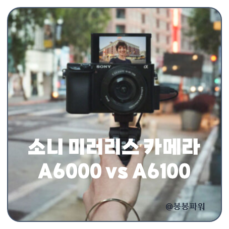 소니 미러리스 입문용 카메라 a6000 a6100 장점 단점 특징 비교