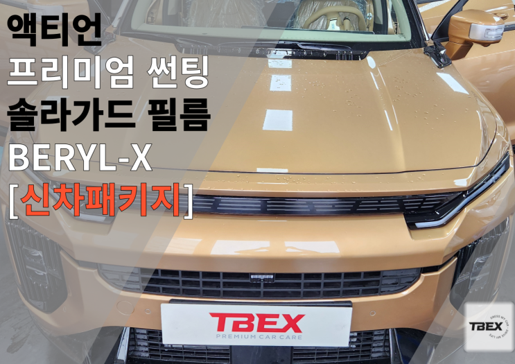  평택 신차패키지는 선택 요령만 알면 영업사원에게 당하지 않는다 #액티언 로얄코퍼 신차패키지 후기#솔라가드[BERYL-X] #[평택 티벡스 ]비전점