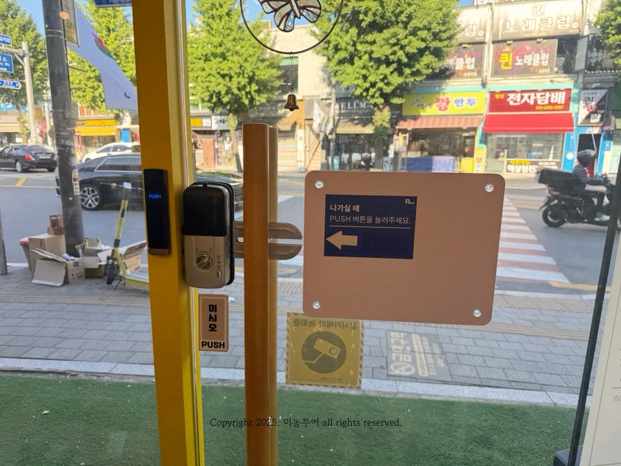 블루데이지 사진 3