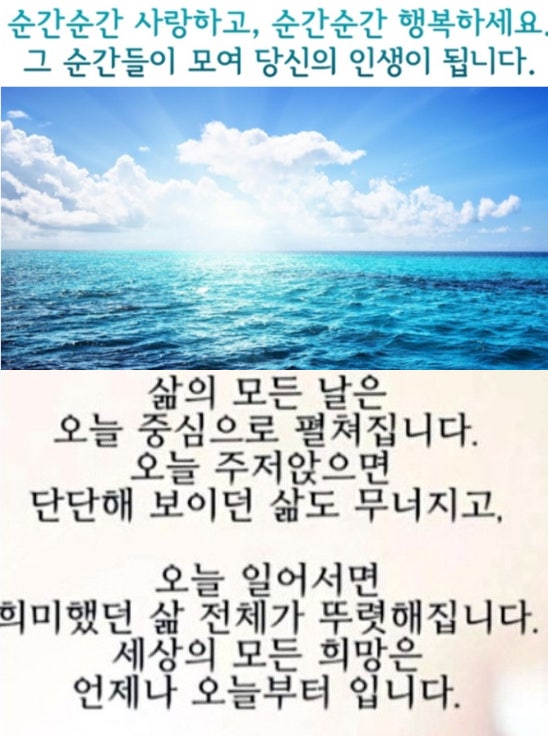 가만히 있는다고 기회가 오지 않는다. 뭐라도 해야, 변화는 시작된다.