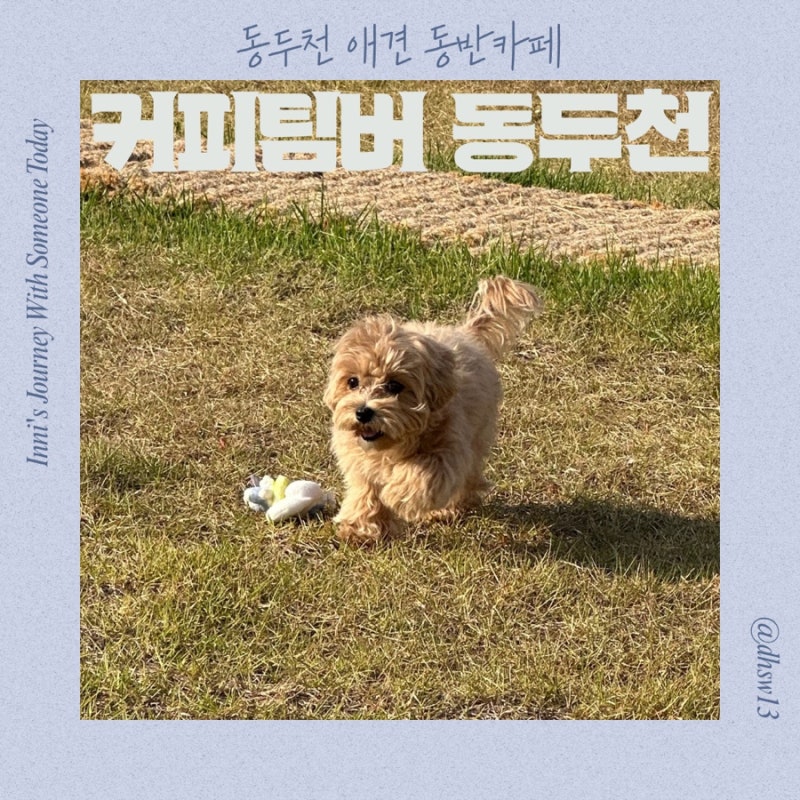 사진 2