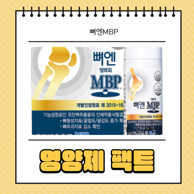 뼈엔 엠비피 MBP 효능 성분 가격 바로알기!