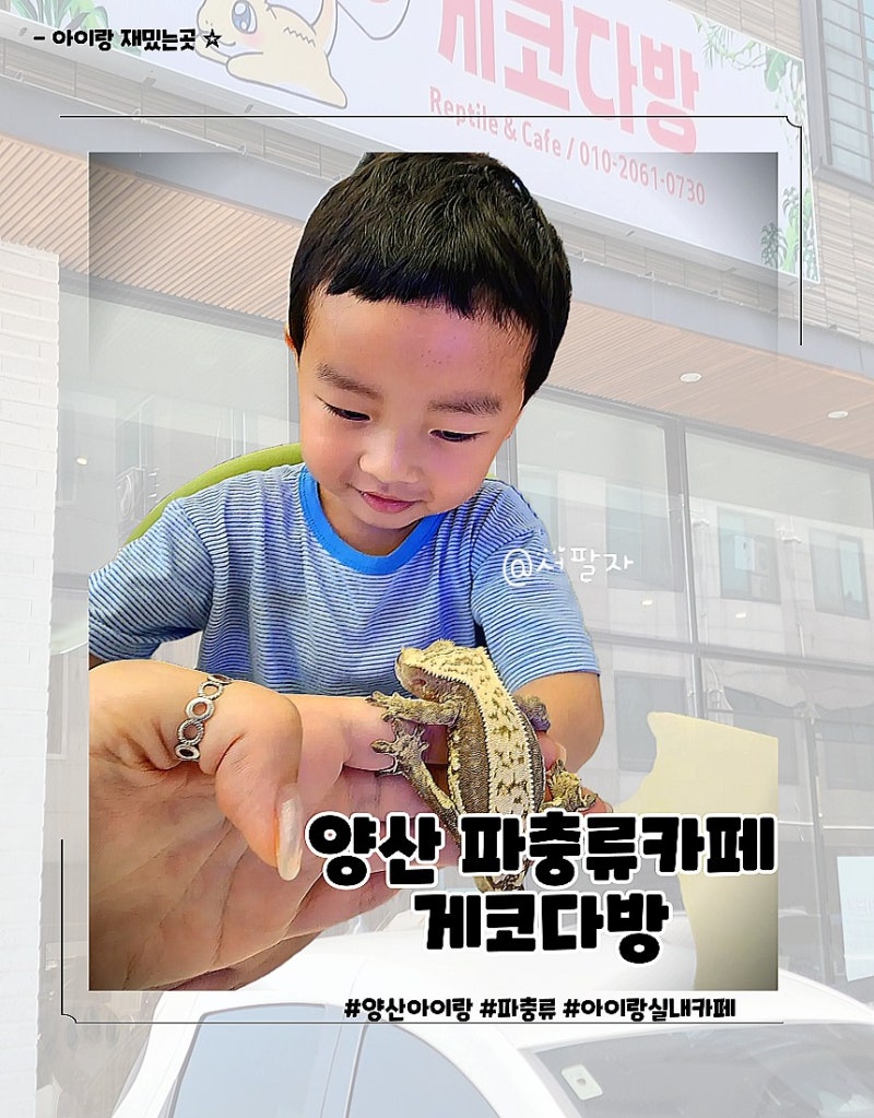 양산 아이랑 파충류카페 게코다방