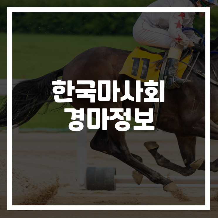 <b>한국마사회 경마정보</b>(일정, 성적, 마권 등)