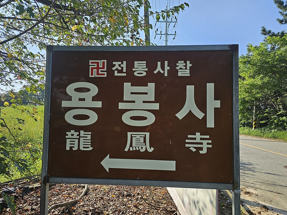 봉의산 사진 1