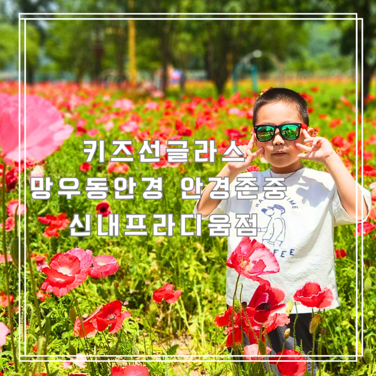 신내동 키즈선글라스 추천 망우동안경 안경존중 신내프라디움점 방문 후기