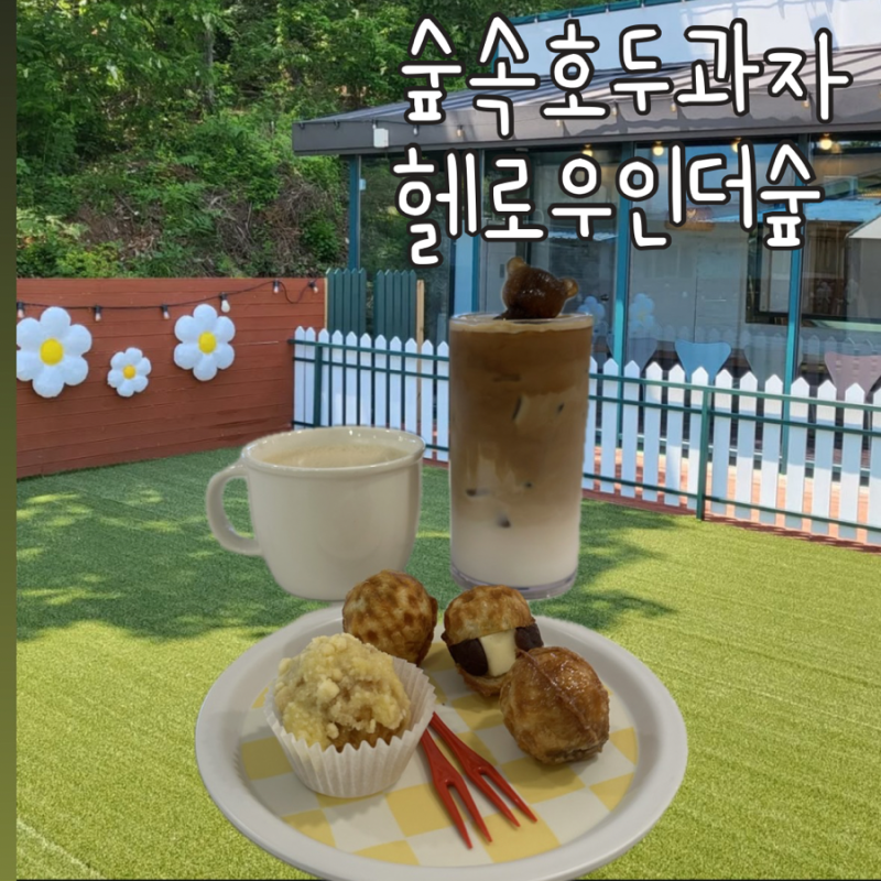 사진 5