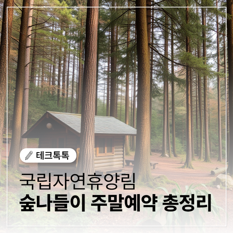  숲나들이 성수기 주말예약, 인기 명소 빠르게 잡는 꿀팁 총정리!