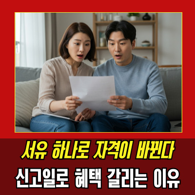  혼인신고일조회, 청약 세금 보험 기준일입니다