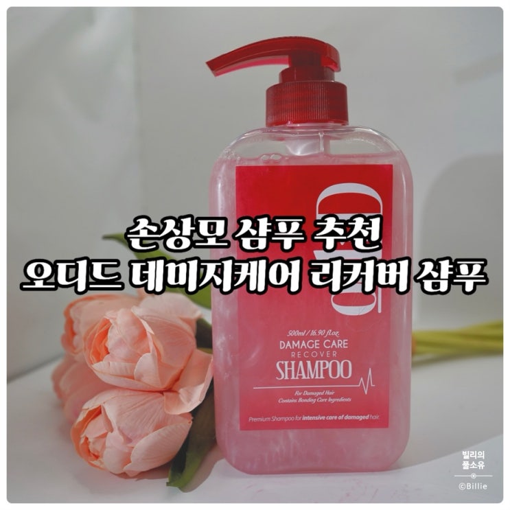  푸석한 머릿결에 SOS! 오디드 샴푸로 수분리커버리솔루션