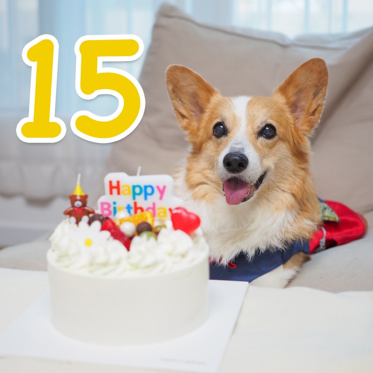 벌써 사샤는 15살