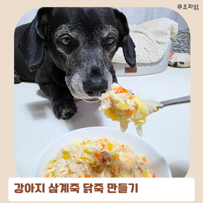 강아지 죽 만들기 간단한 닭죽, 삼계죽 레시피