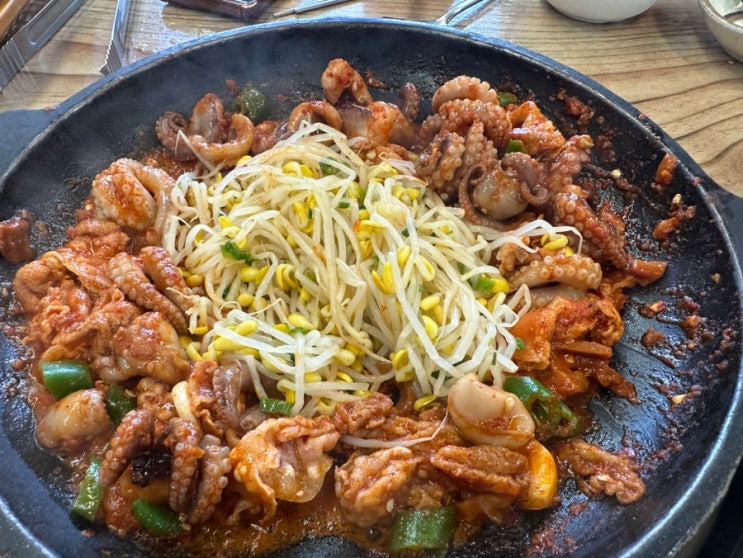  총총) 낮술 먹기 좋고 술 완전 시원하다 ‘신쭈꾸미‘ 금호쌍촌점