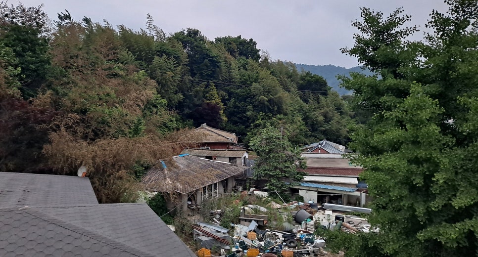 땅골 사진 2
