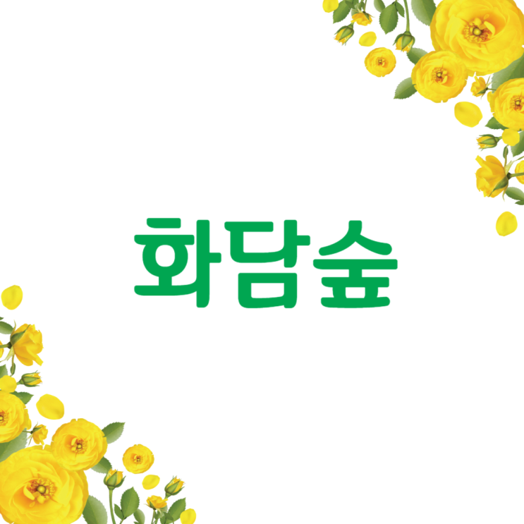  화담숲 예약 방법 모노레일 예매 수국축제