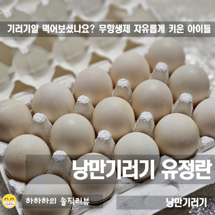  낭만기러기 유정란, 생활속 기력회복을 프라이로 간단히 챙기기